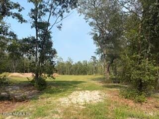 2839 WINDEMERE Court, Middleburg, FL 32068, Middleburg, FL - photo 3