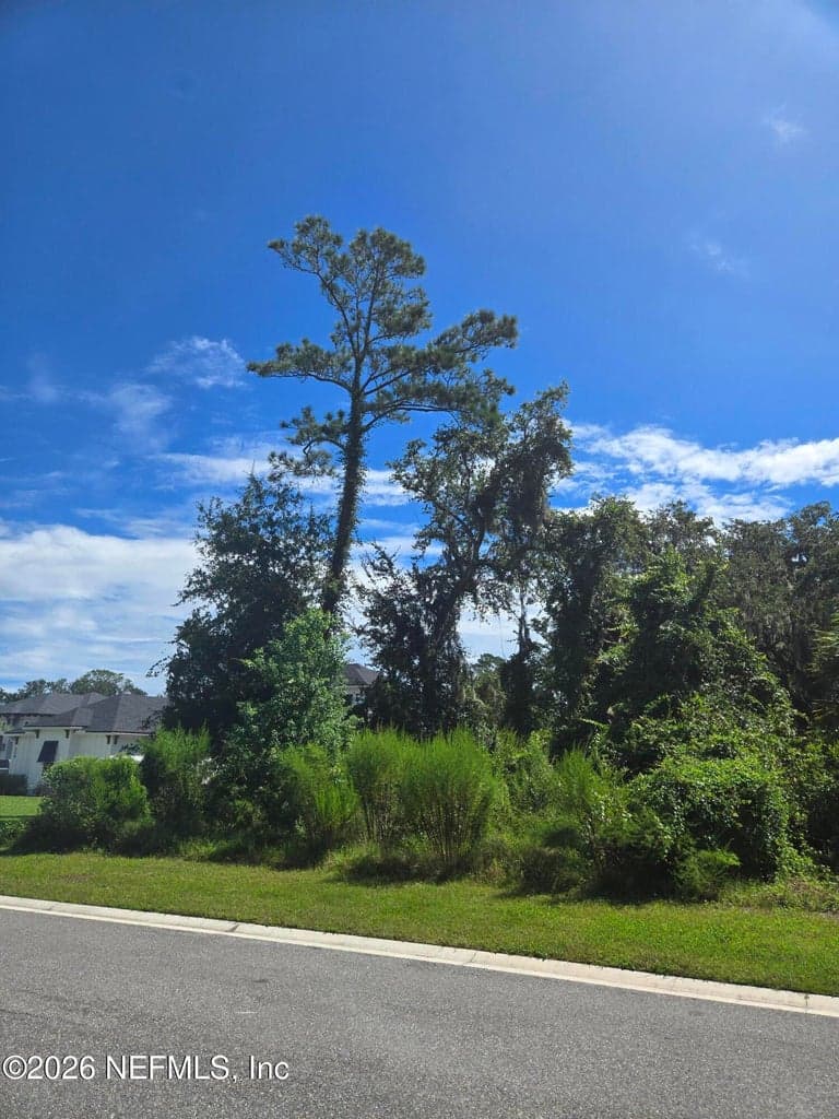 208 CANOPY HALL Drive, St. Augustine, FL 32095, St. Augustine, FL - photo 3